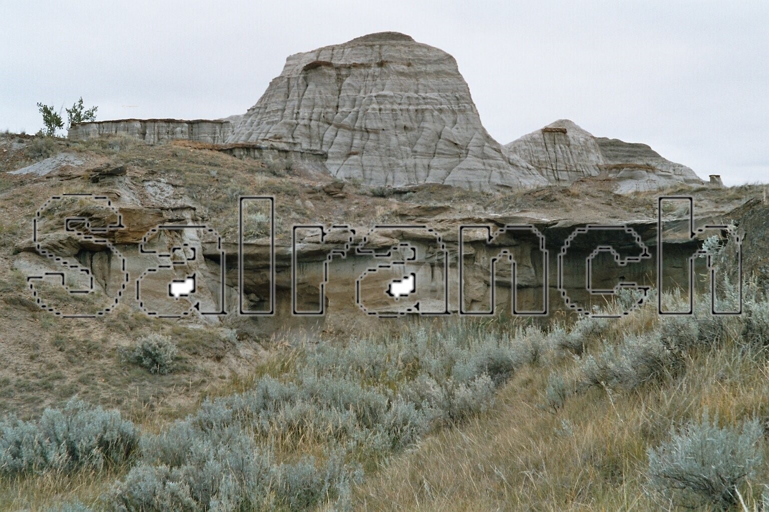 Dinosaurierpark